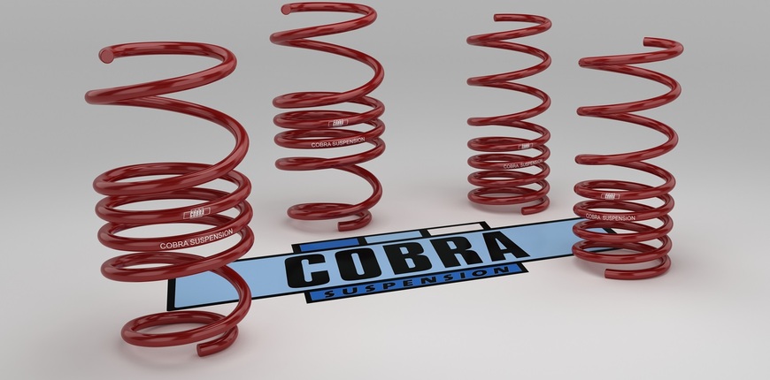 Cobra Lowering Springs